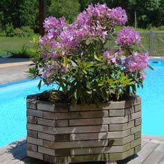 Rectangular Wooden Planter 075